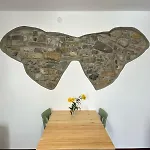 Cjasa Celeste - In * Andreis