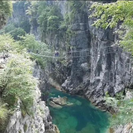 Cjasa Celeste - In * Andreis