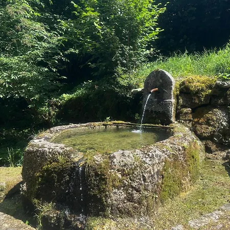 Cjasa Celeste - In Andreis