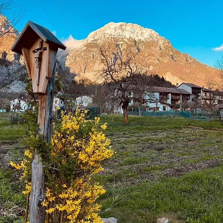 Cjasa Celeste - In 펜션 *